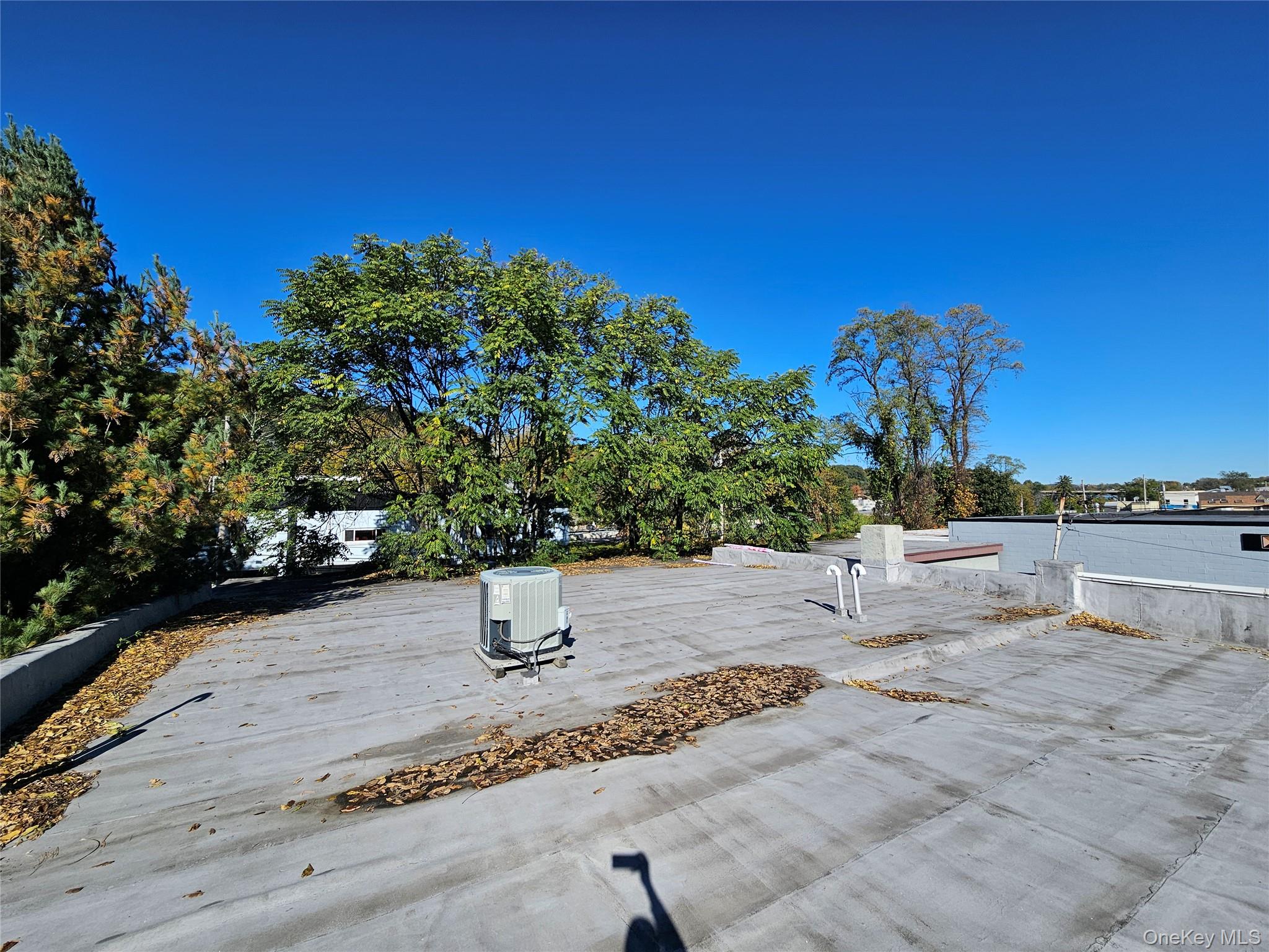Photo 46 of this property