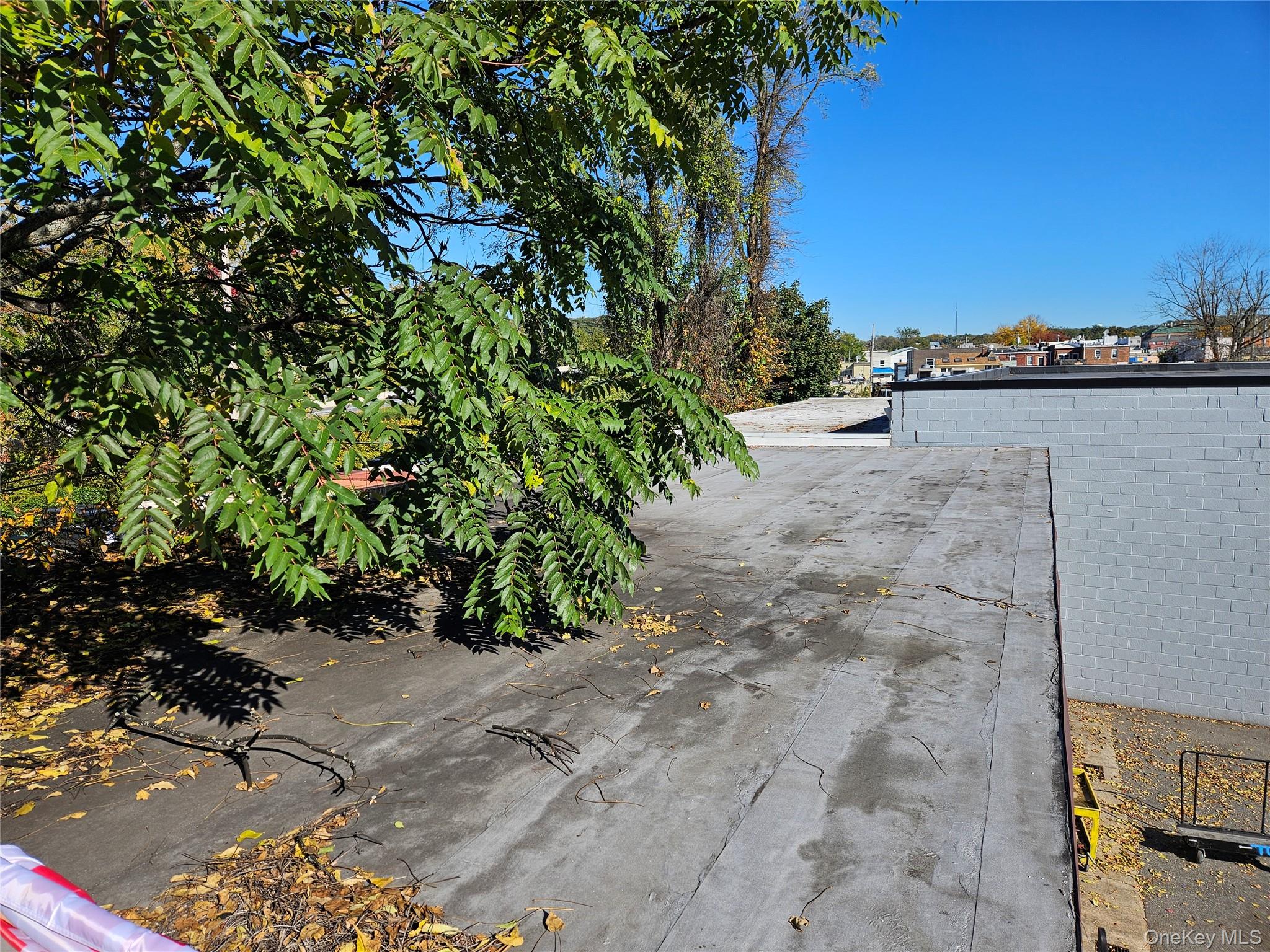 Photo 47 of this property