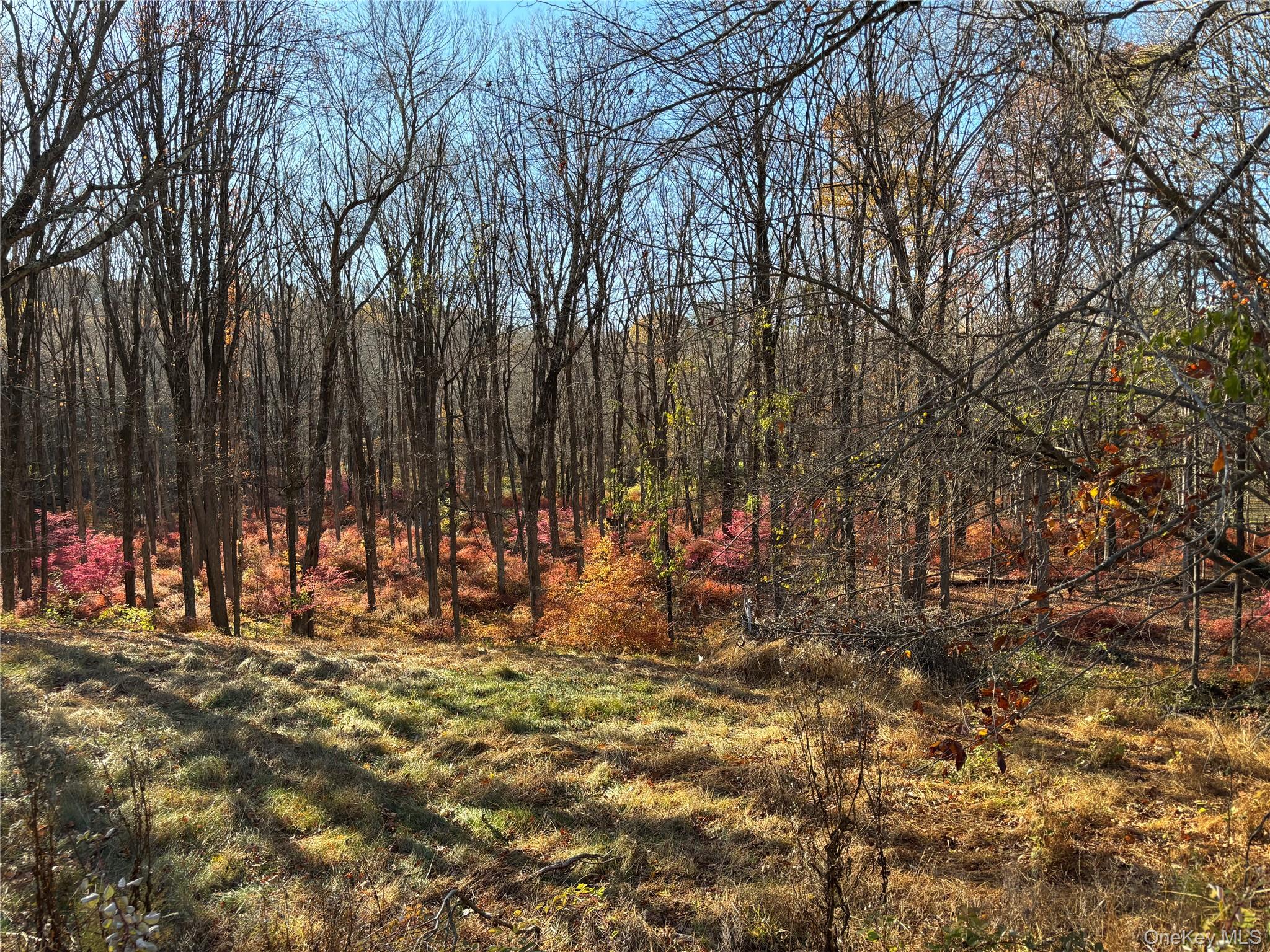 Ready to build 4 acre lot in prime location in Bedford NY, bordering t...