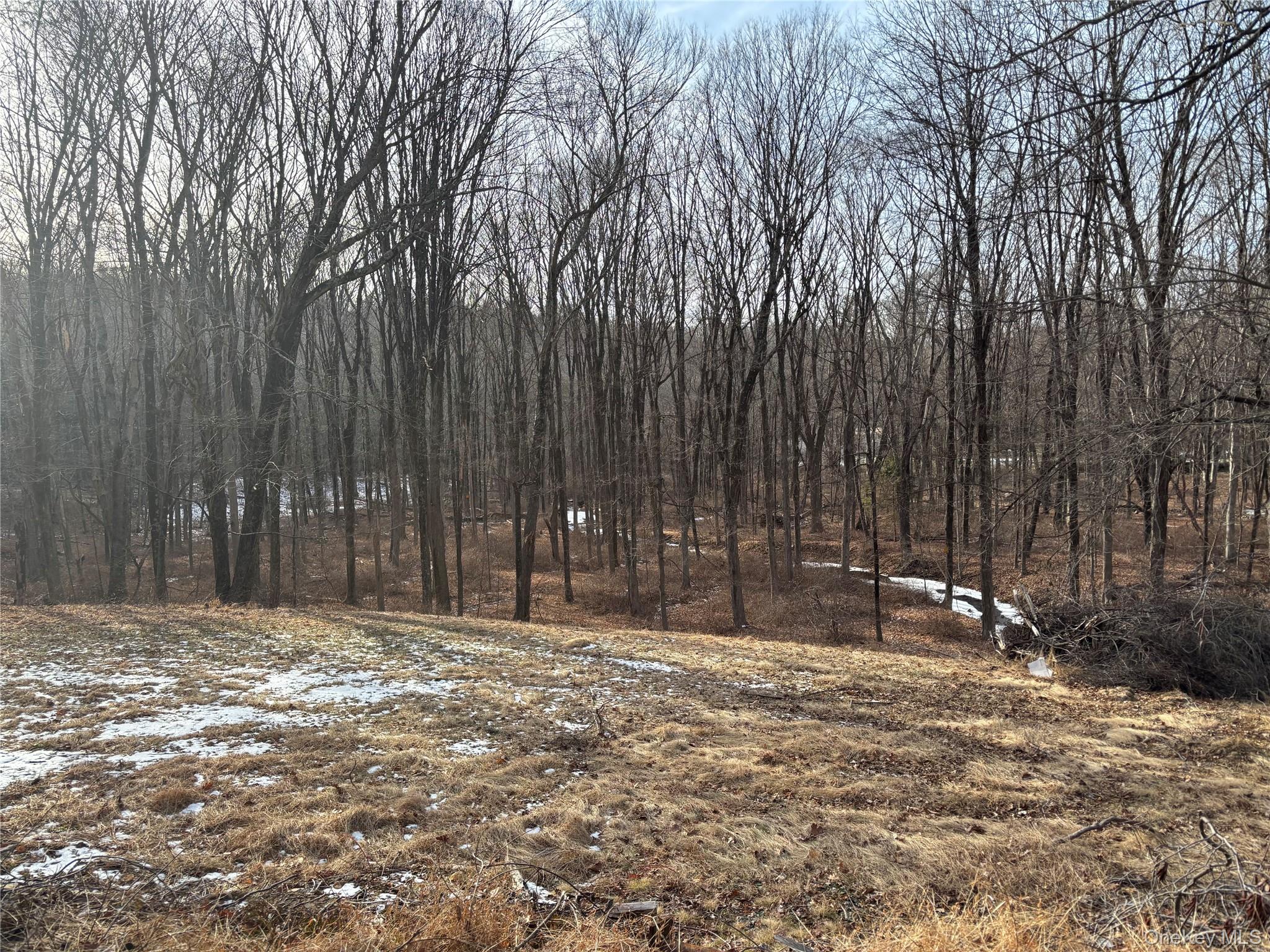 Ready to build 4 acre lot in prime location in Bedford NY, bordering t...