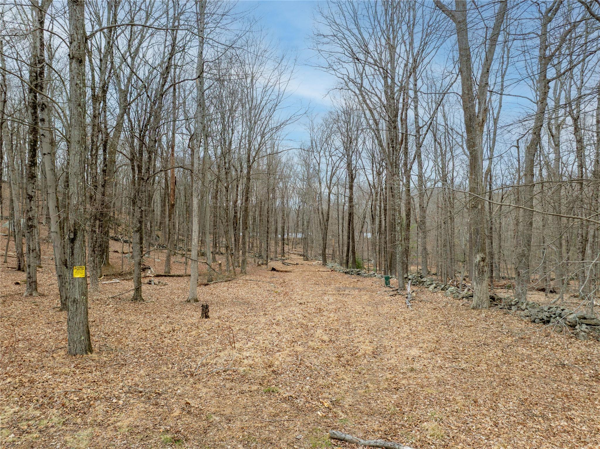 Discover an exclusive opportunity to build your dream home at Joshua H...