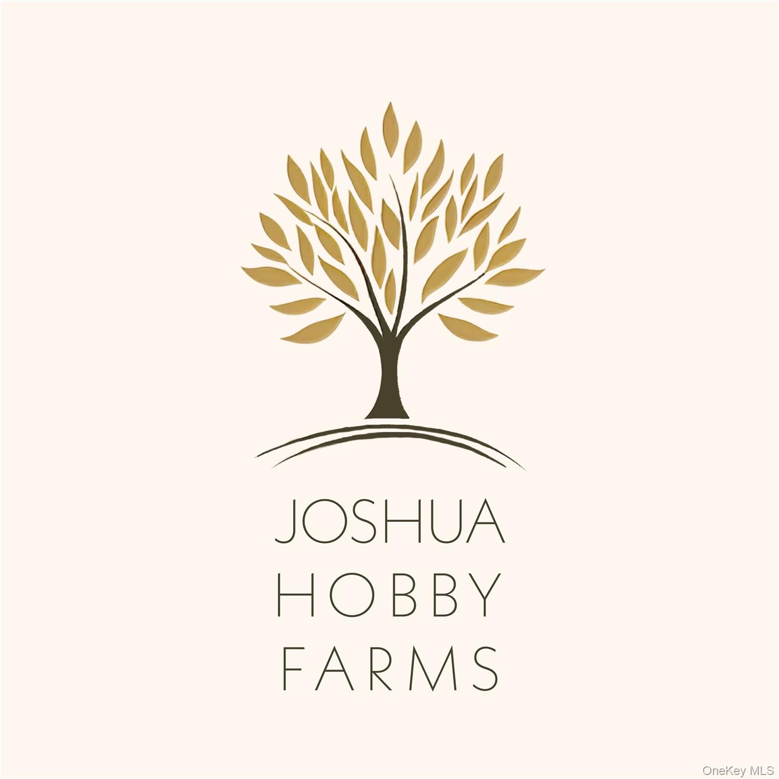 Discover an exclusive opportunity to build your dream home at Joshua H...
