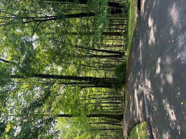 Rare opportunity to build your dream home on a quiet cul-de-sac in a p...