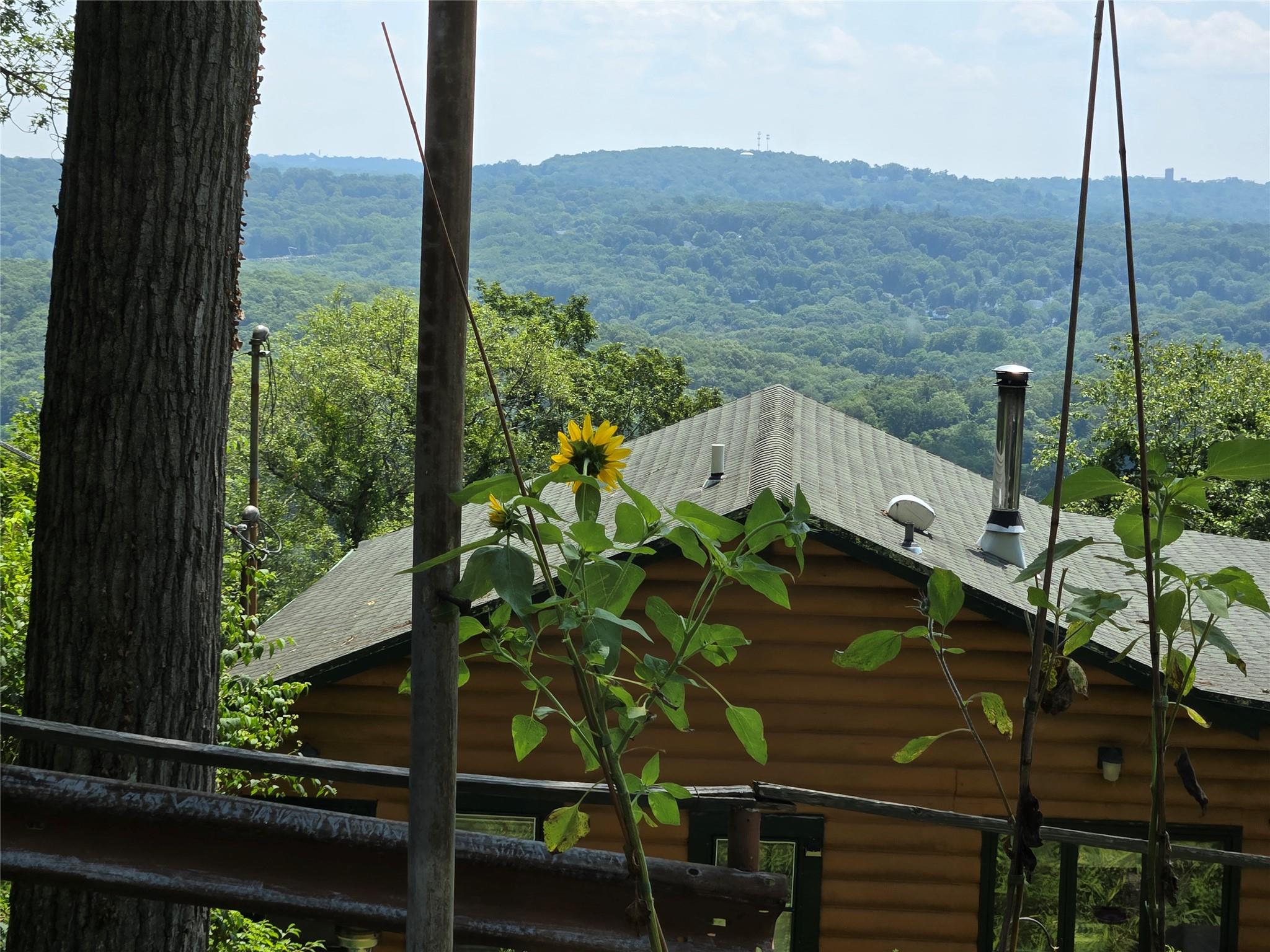 Secluded Scenic One-Bedroom Retreat- This comes with two lots making a...