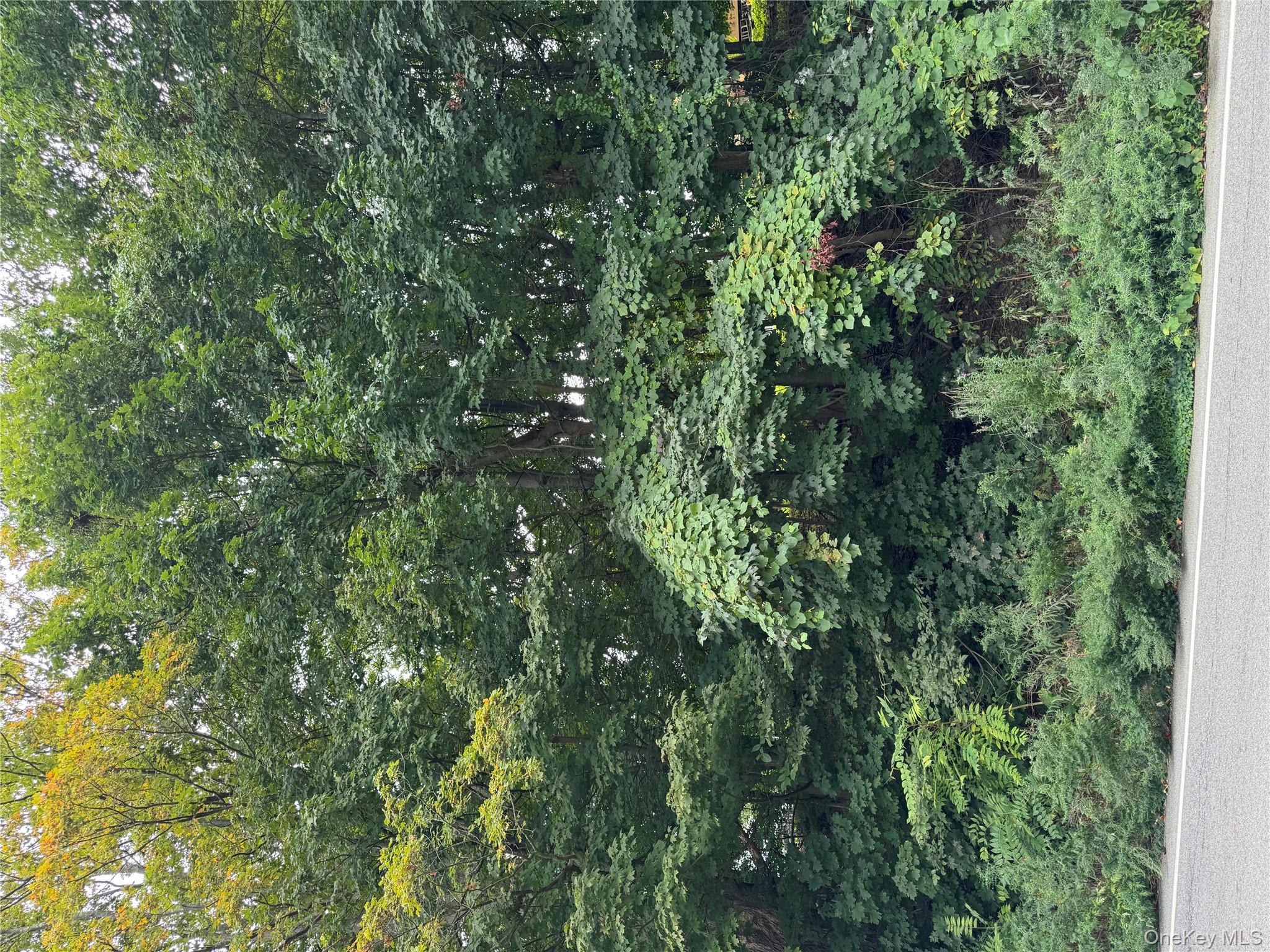 City of Peekskill lot size 7500.  Buyer may need a variance.  Property...