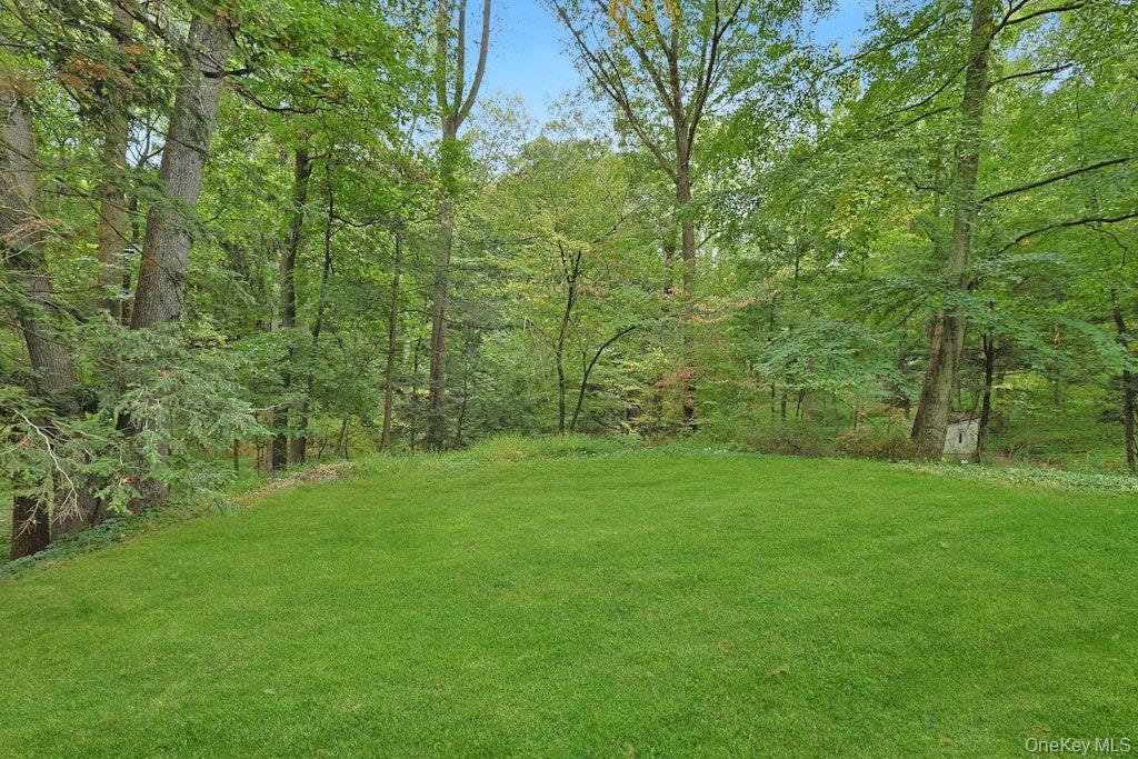 Photo 41 of this property