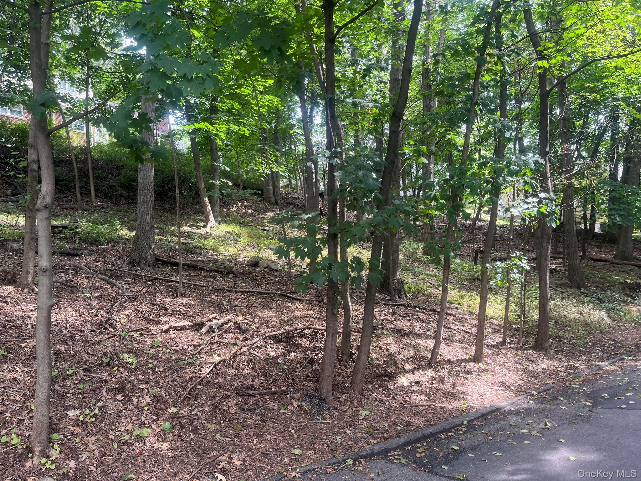 Approved subdivision in Greenburgh/Ardsley. Lot 2 consists of two parc...