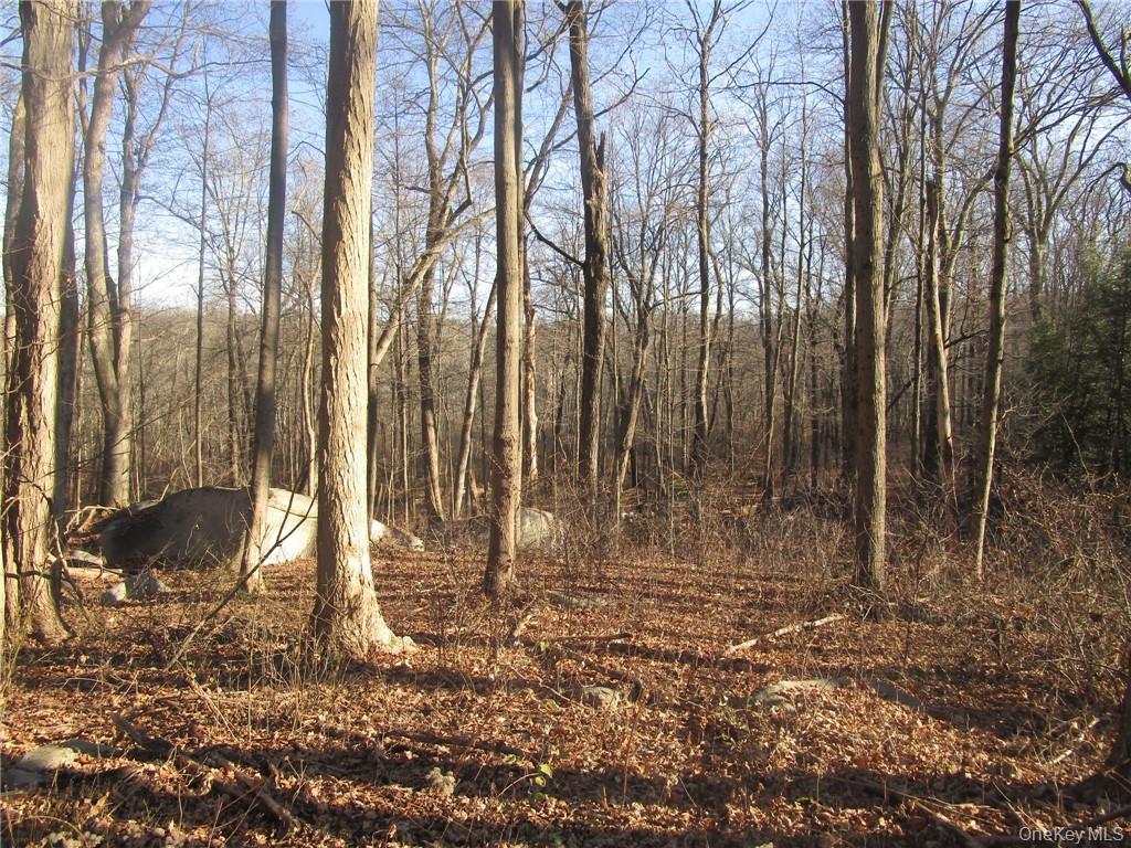 Amazing opportunity to own a large parcel of land in a convenient area...