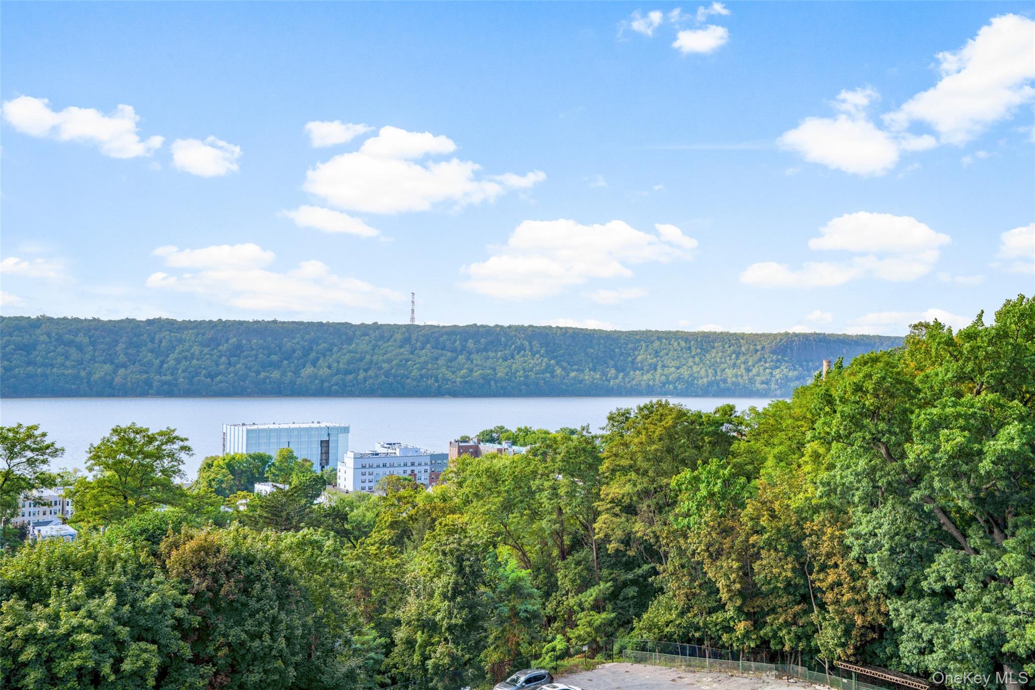 Enjoy magnificent Hudson River views from this spacious junior four in...