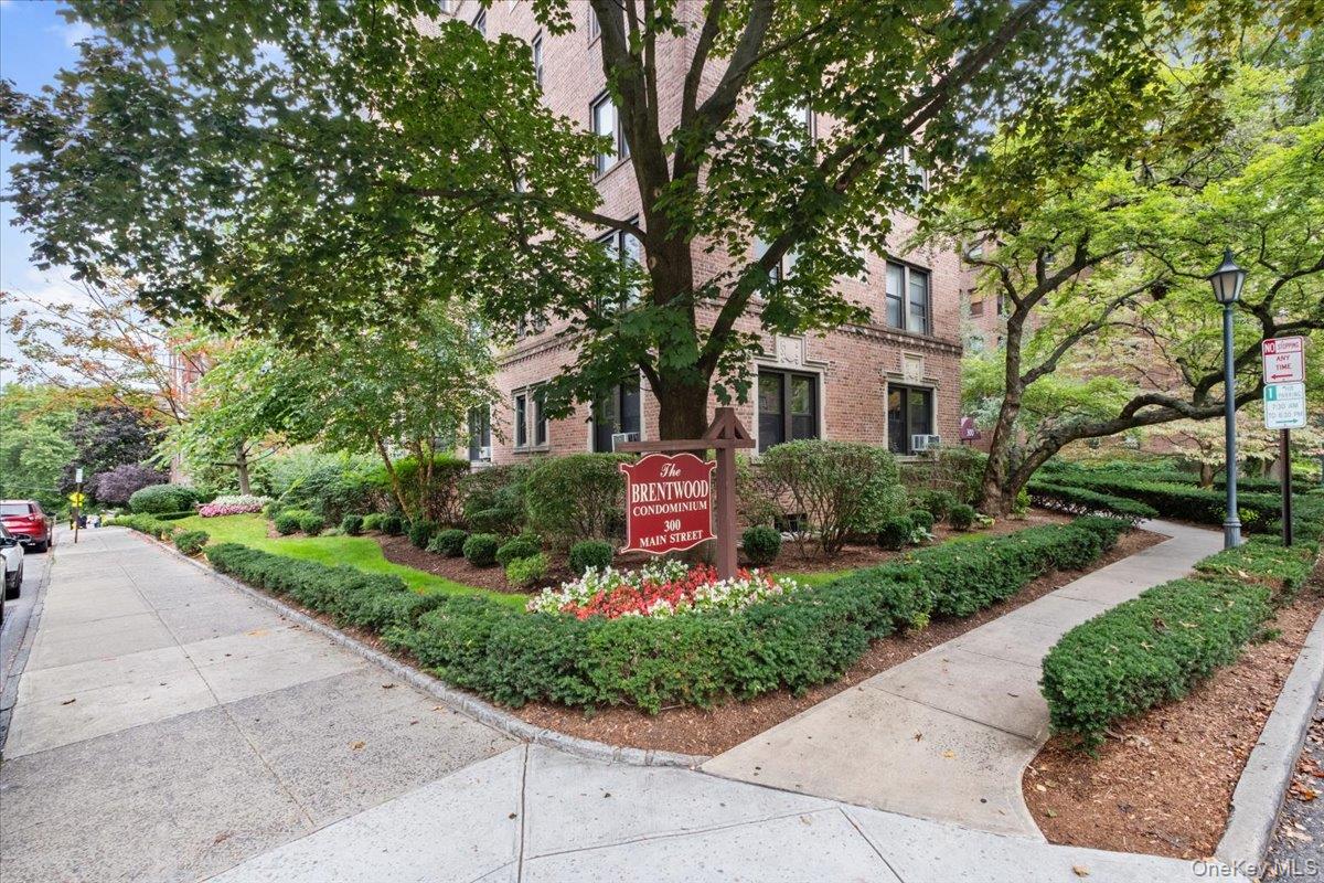 Located in the heart of downtown White Plains, within walking distance...
