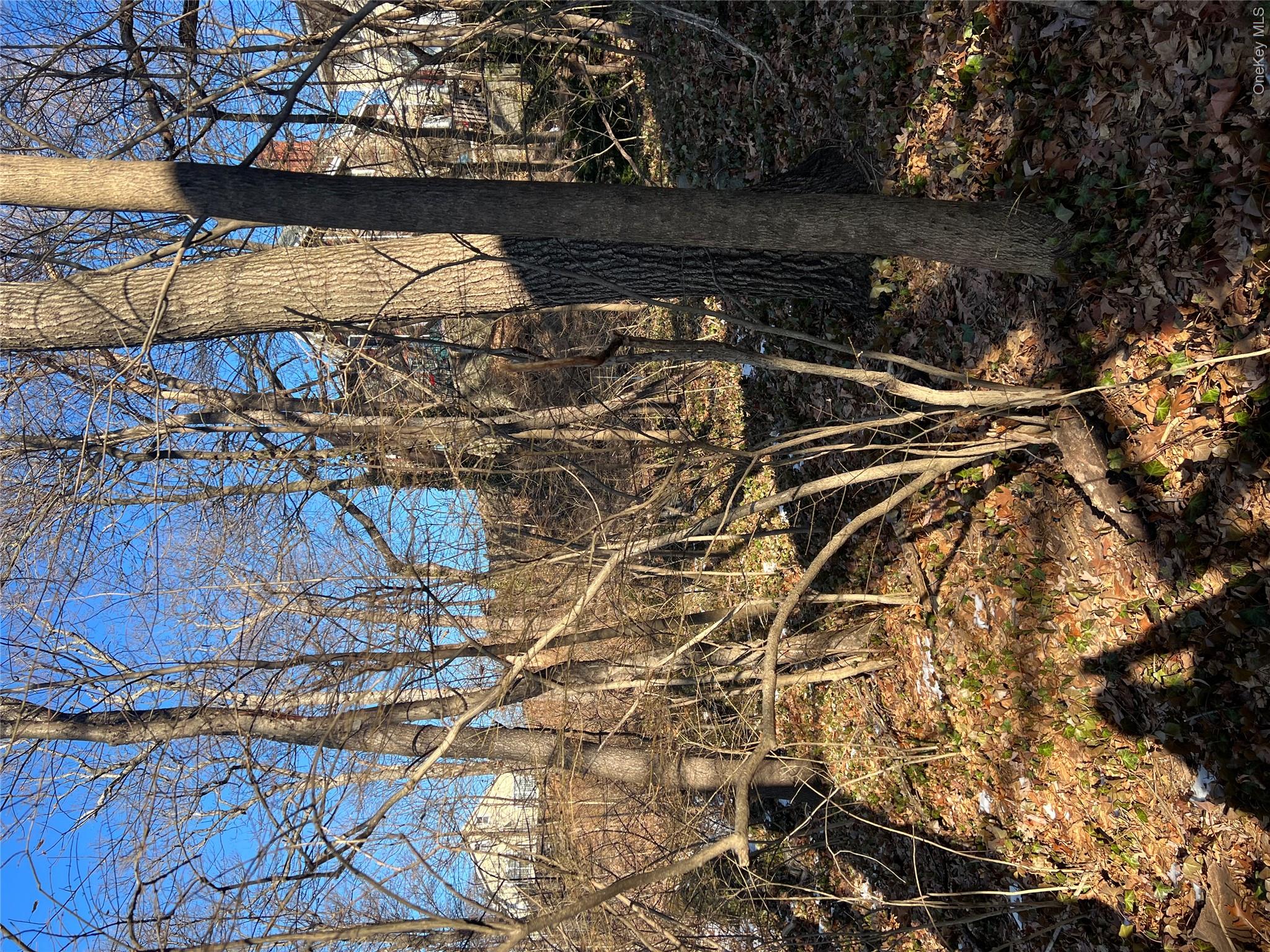 Great opportunity on the market , excellent land available for sale in...