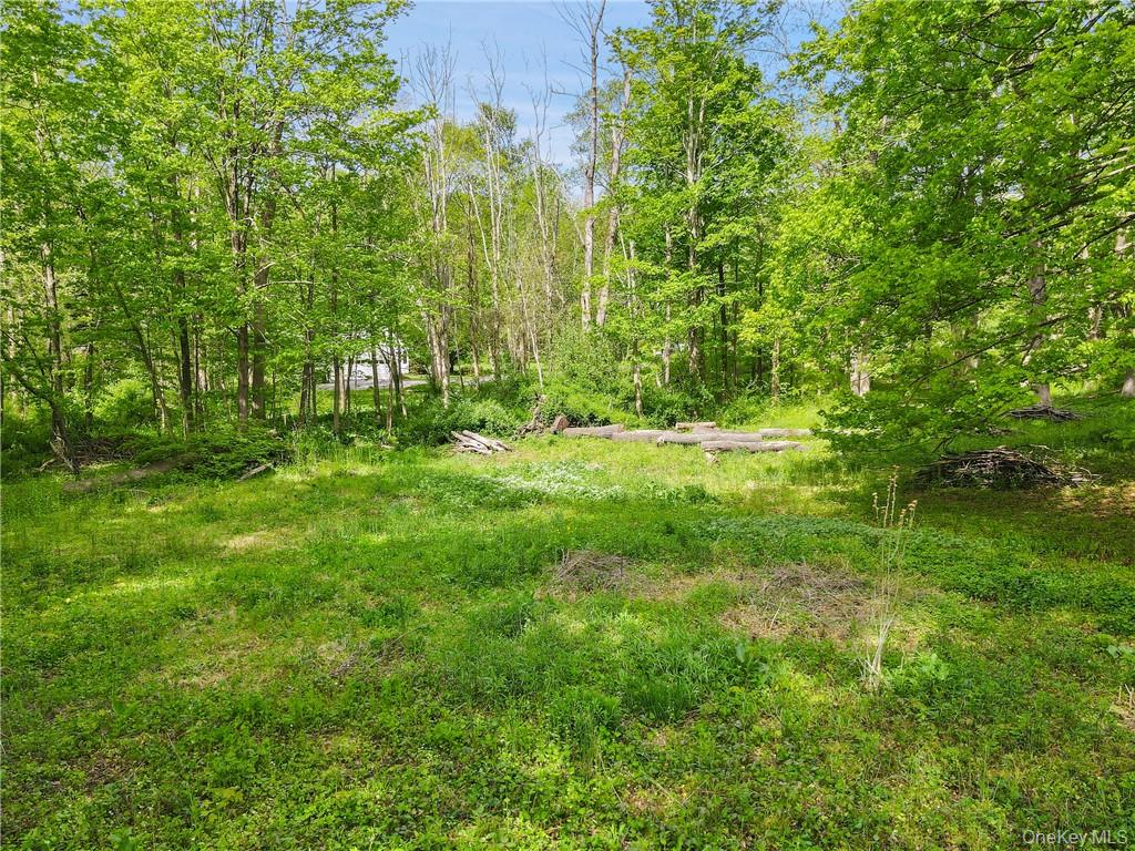 Recently approved 5 bedroom 5400 sq. ft. BOH. Beautiful location in th...