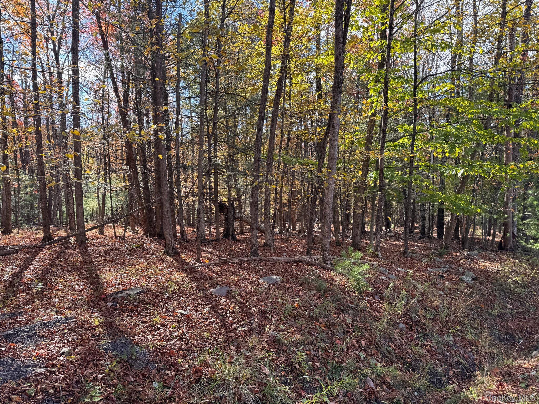 Sited on a quiet country road, this beautiful 1.99-acre parcel offers...