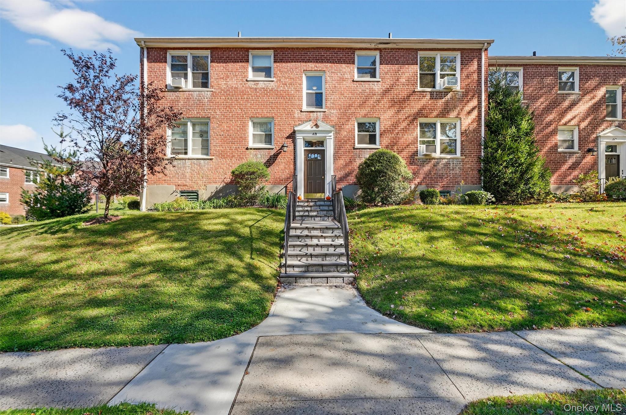 Welcome to Tanglewood Gardens — One of White Plains’ Premier Dog-Frien...