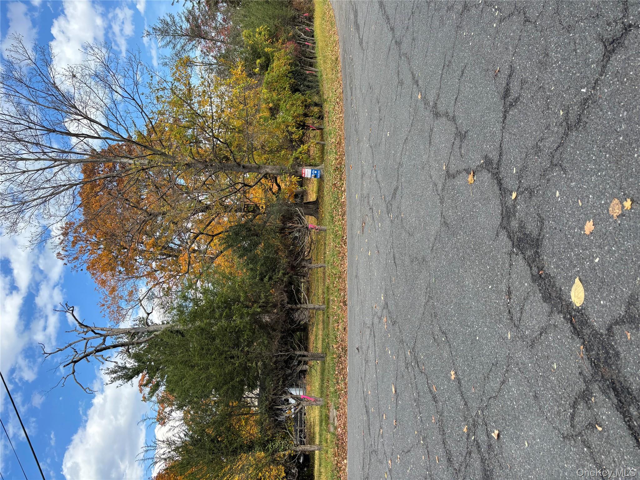 Outstanding opportunity to own vacant land situated between Orchard Pl...