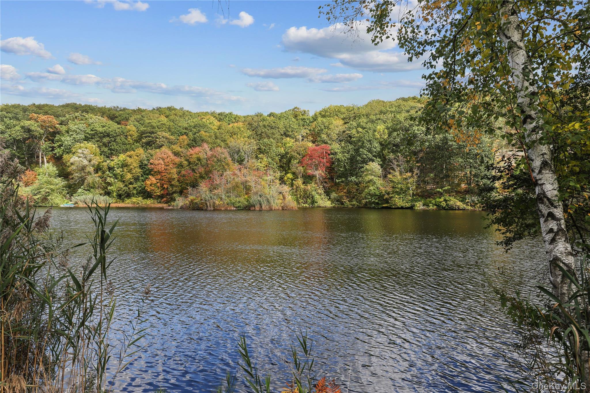 Lakefront Opportunity in the Byram Hills School District

Set on a spe...
