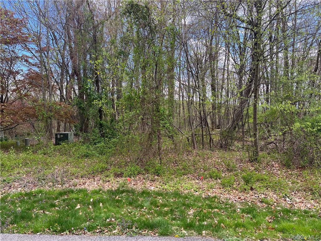 This underdeveloped lot offers a valuable opportunity for the right bu...