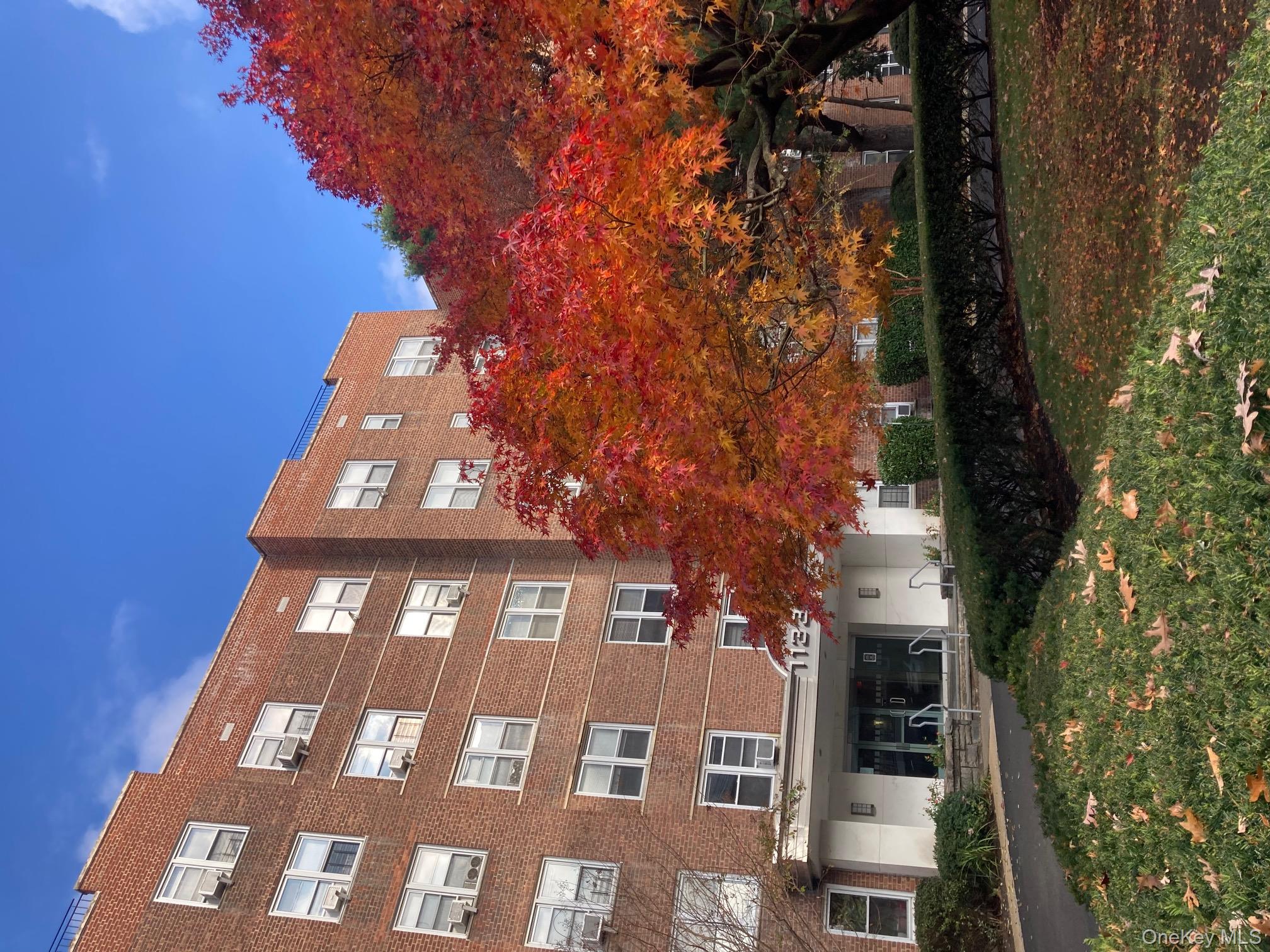 Must see renovated Sponsor condo units in Bronxville PO. Deluxe full r...