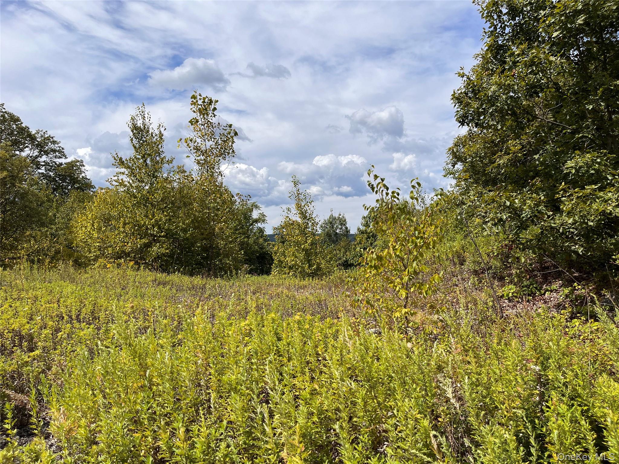 Set on over 2 acres, this exceptional building lot offers sun-drenched...