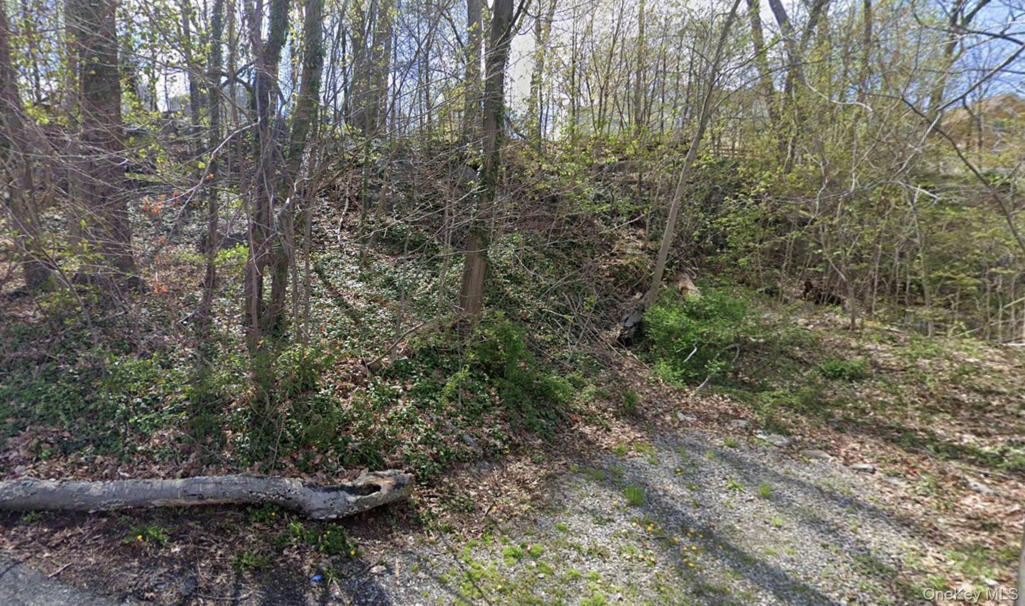 Prime development opportunity consisting of 5 adjacent vacant lots tot...
