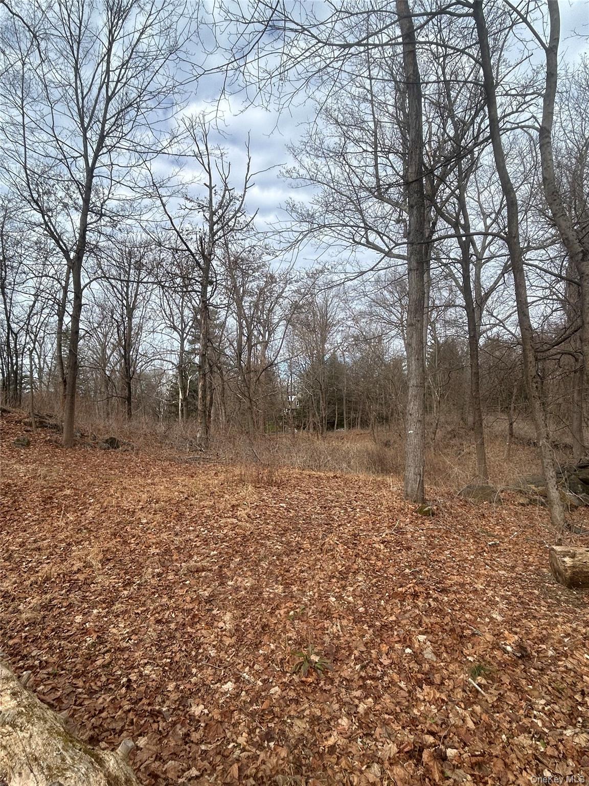 Rare opportunity to own a buildable parcel in desirable Montrose, NY,...