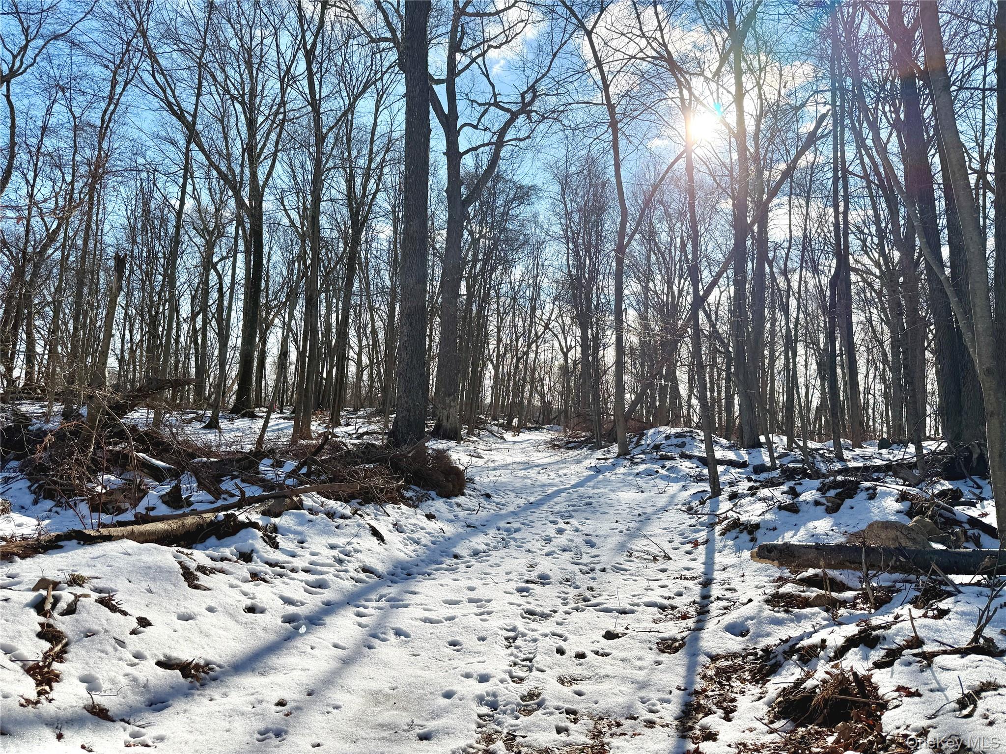 Spectacular Opportunity to purchase this 13 acre newly Approved 7 lot...