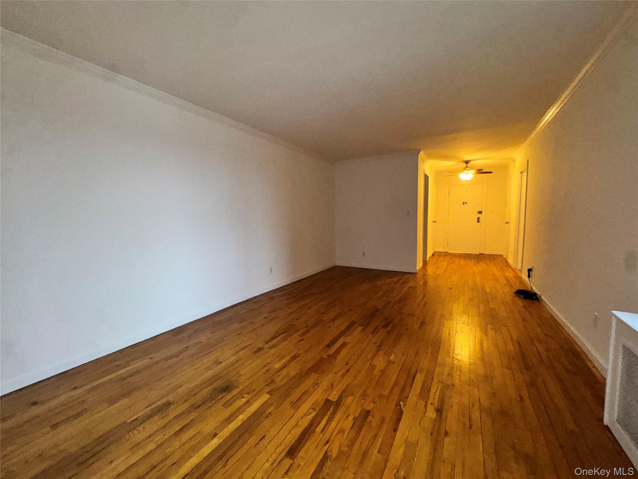 Spacious Studio with Dressing Area and Ample Closet Space. Clean and W...