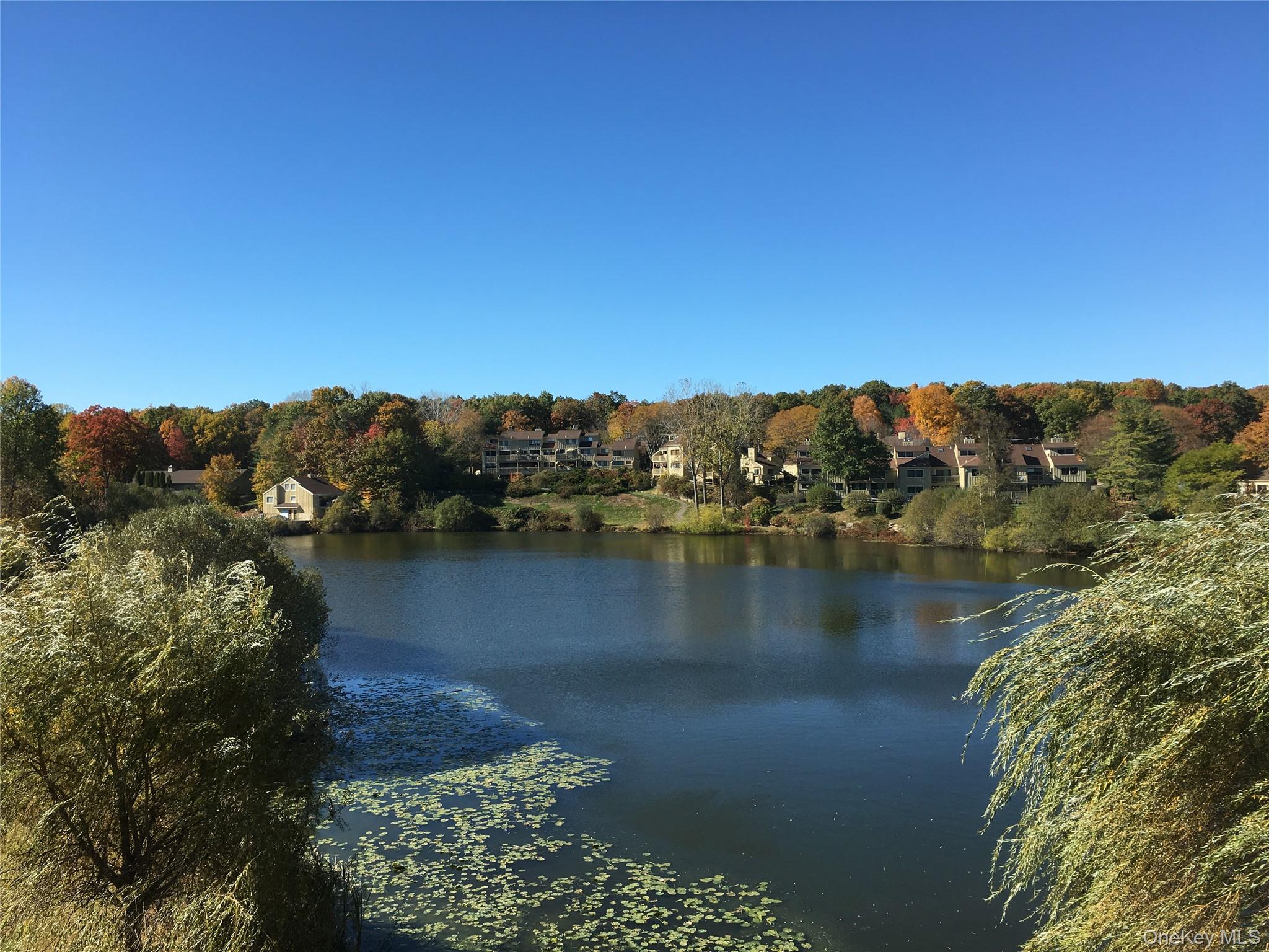 Welcome to Lakeview Lofts -  A newly constructed collection of boutiqu...