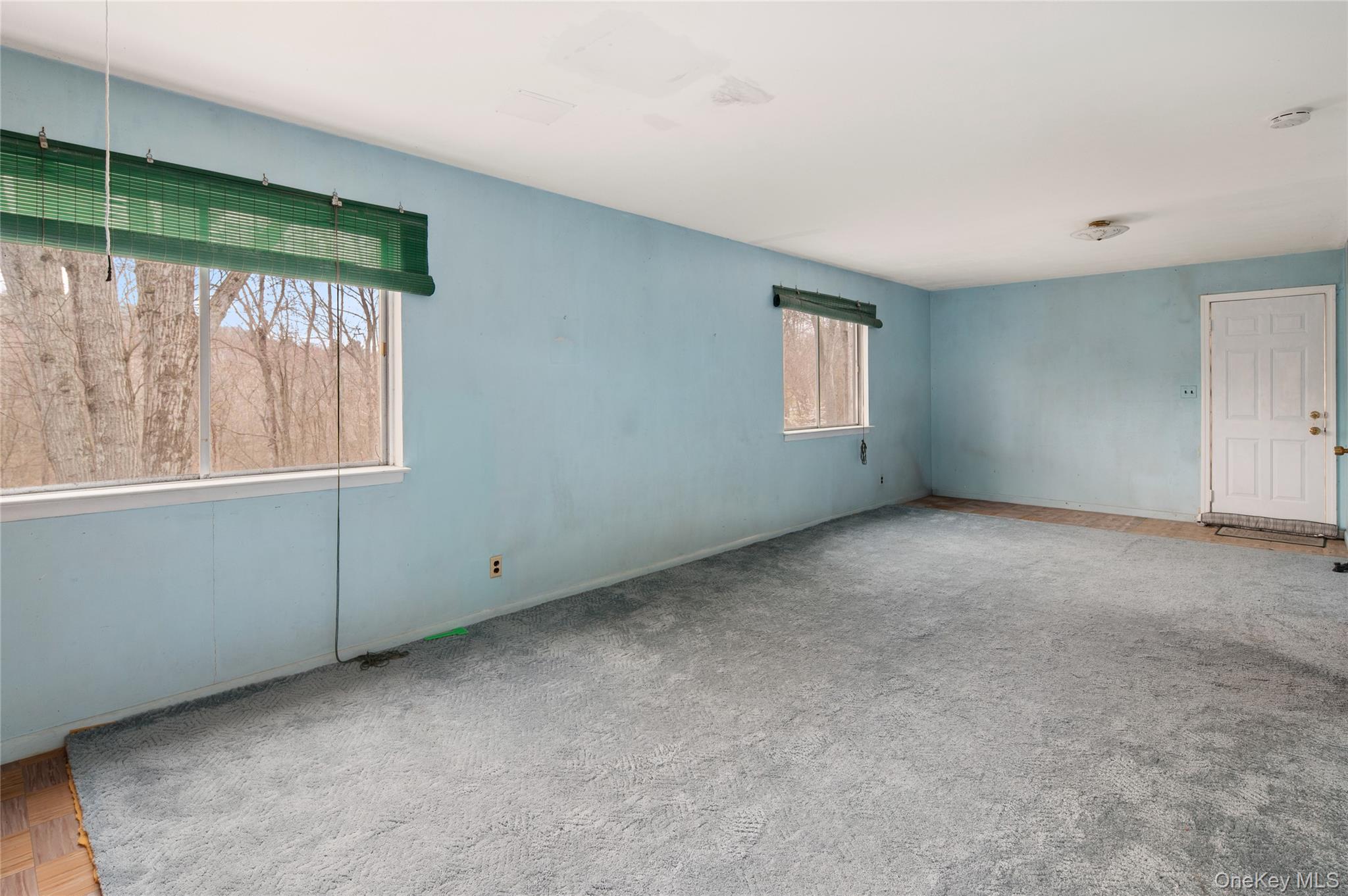 Photo 24 of this property