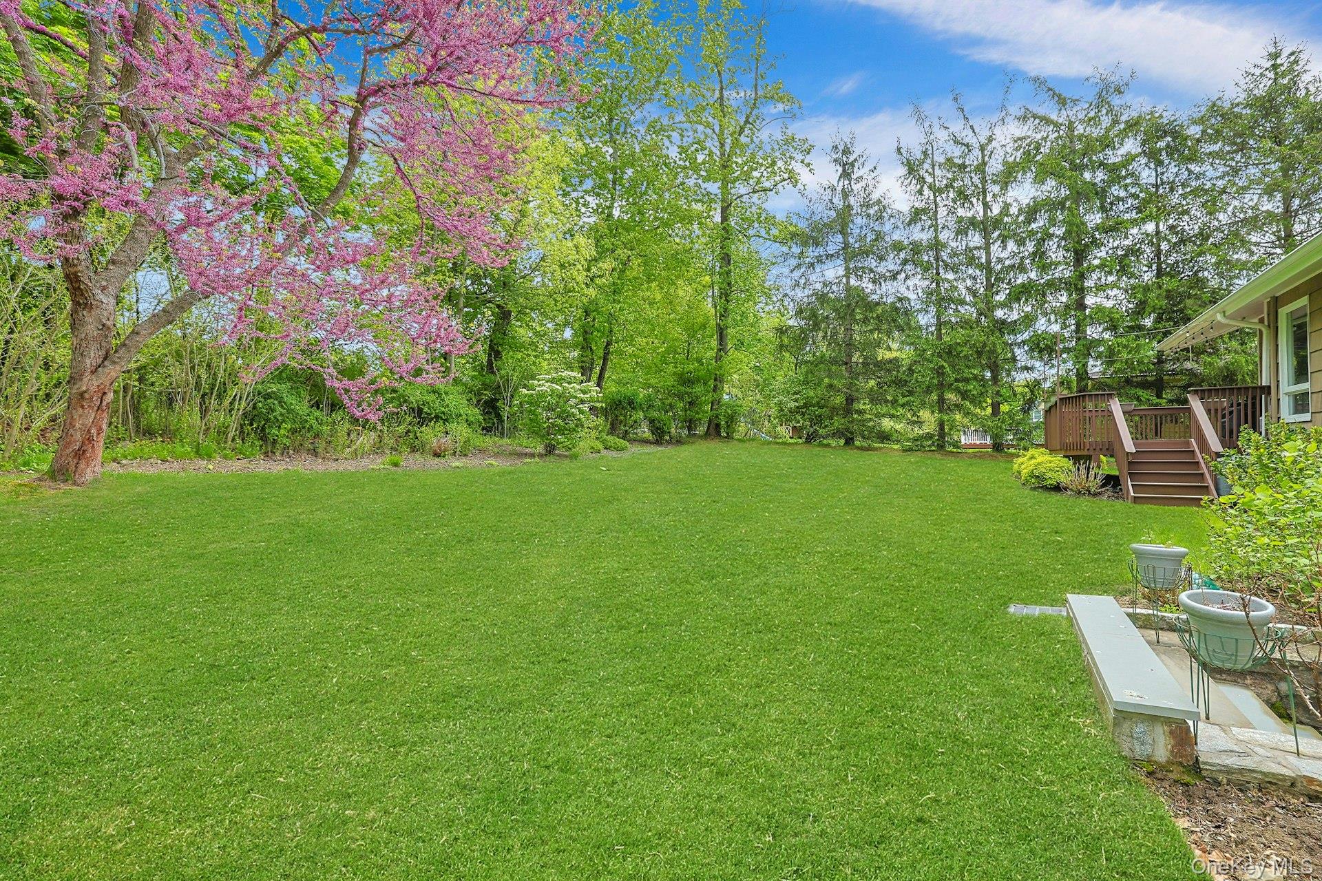 Photo 33 of this property