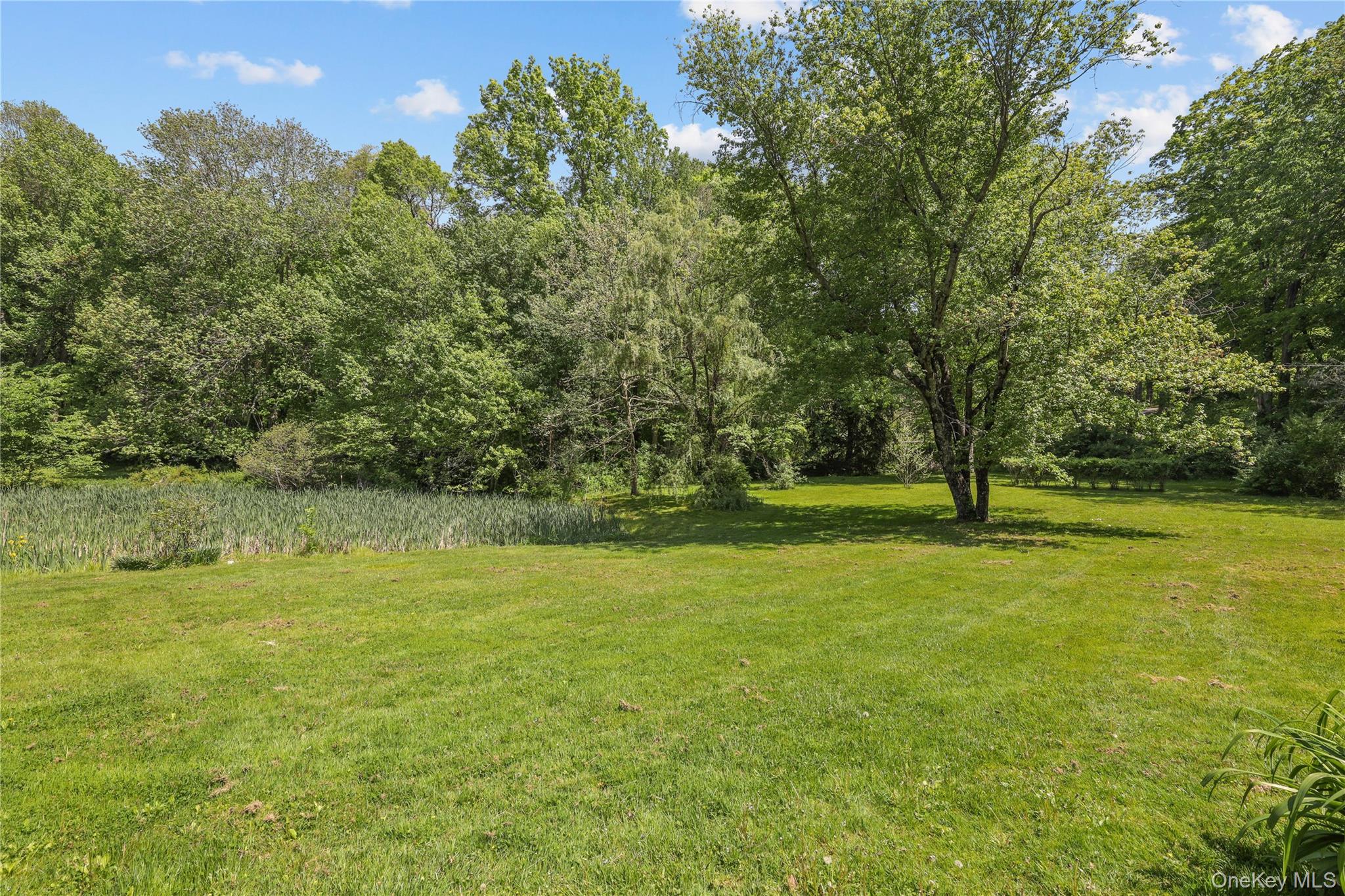 Photo 18 of this property