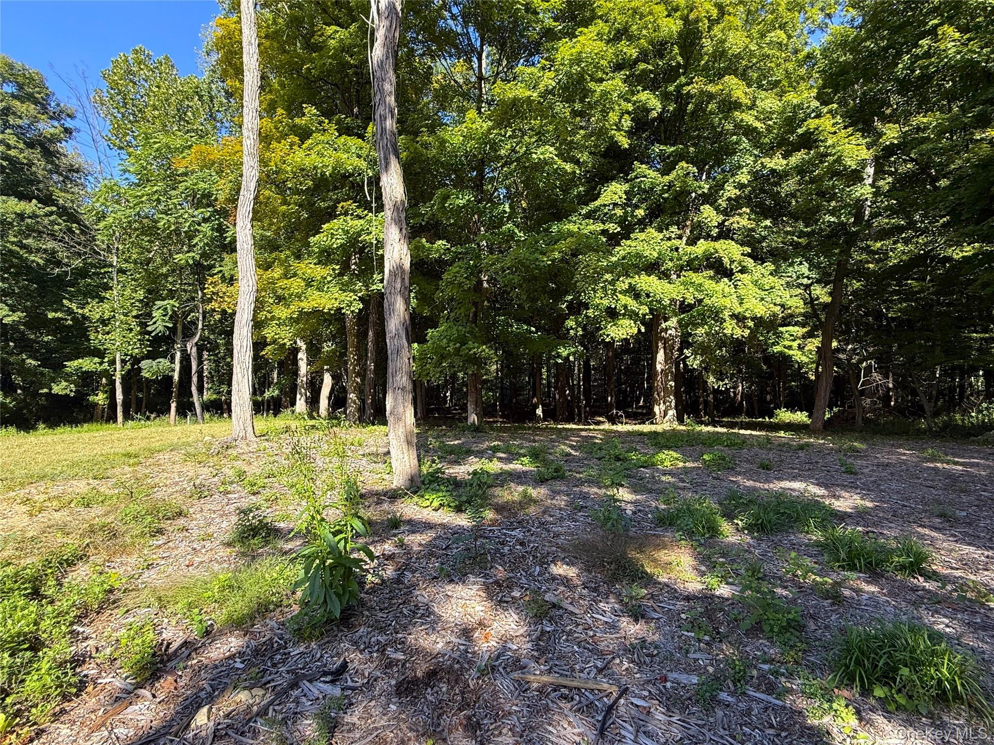 Photo 35 of this property