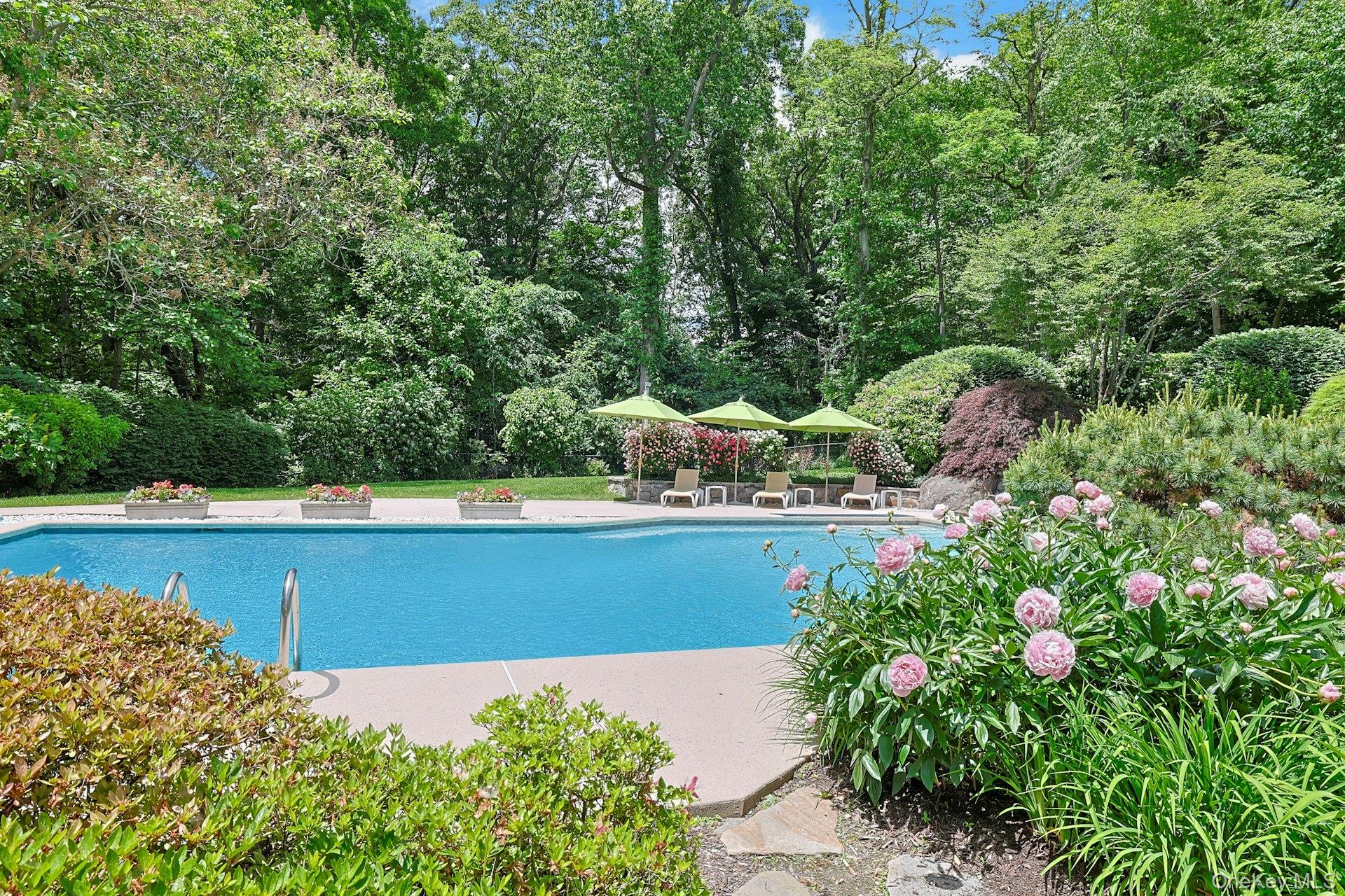 Photo 41 of this property