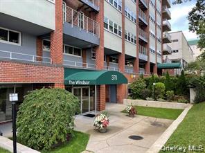 Large Studio with separate large kitchen. Dressing area outside of bat...