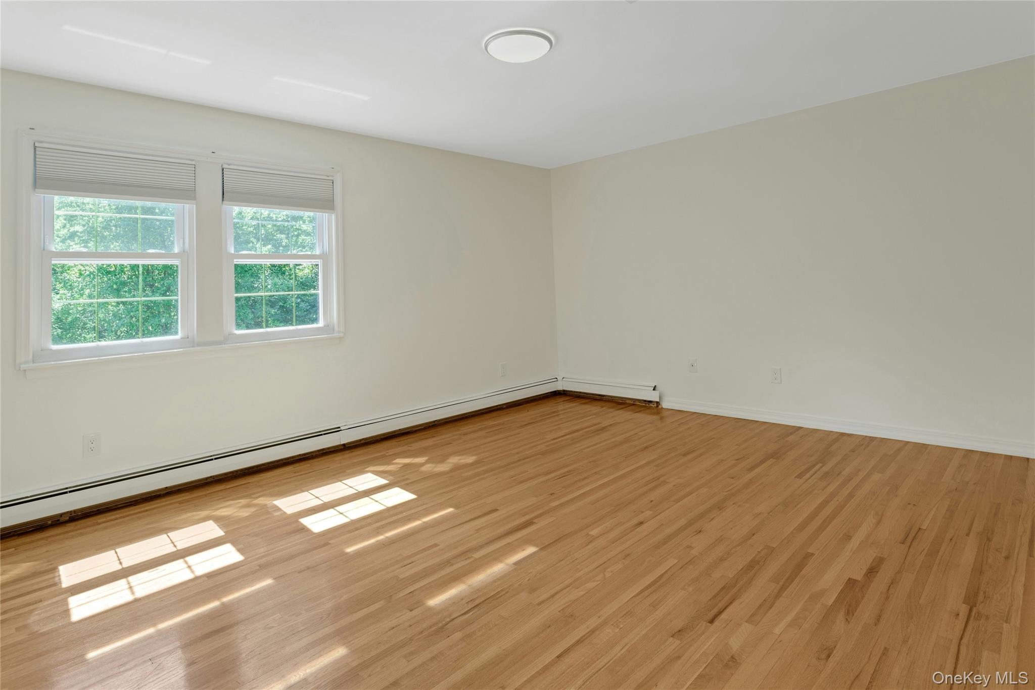 Photo 18 of this property