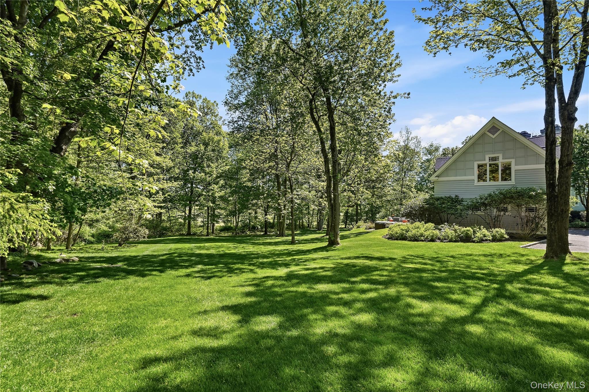 Photo 46 of this property
